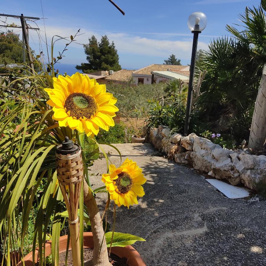 Baglio Cracchiolo Da Tuzzo - Villa Ulivo San Vito Lo Capo Exterior foto